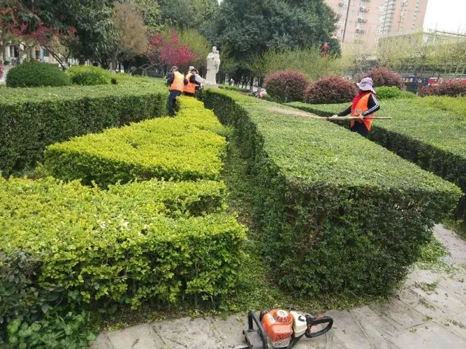 新城区景区园林绿化工程