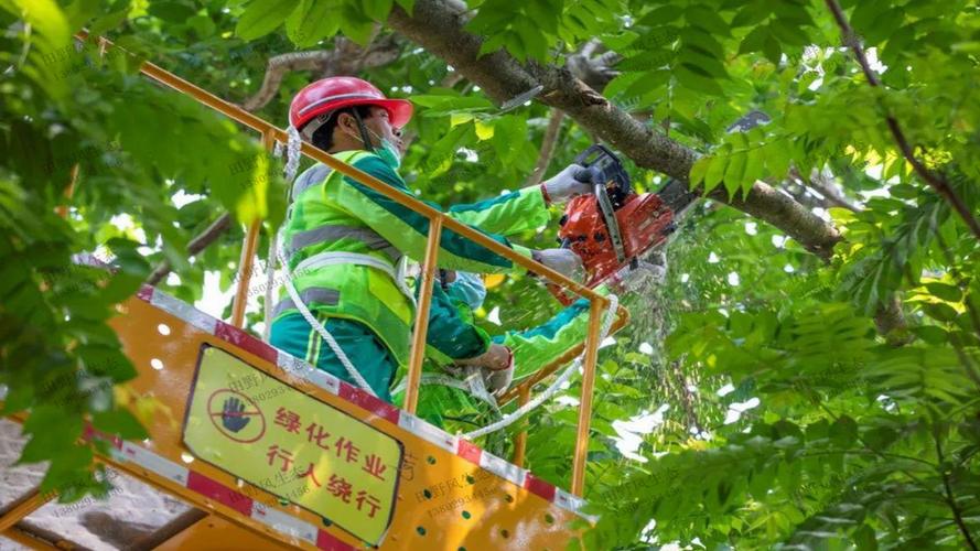 平阳县四季果岭绿化工程