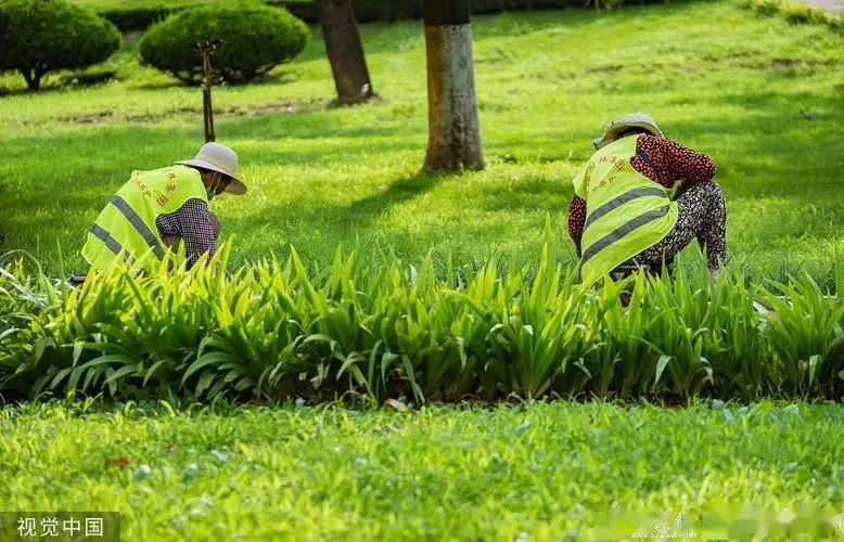 通过生物多样性保护解决园林管理中的生态平衡问题