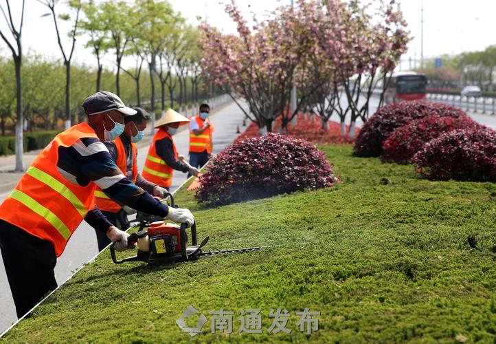 东莞体育场草坪绿化工程